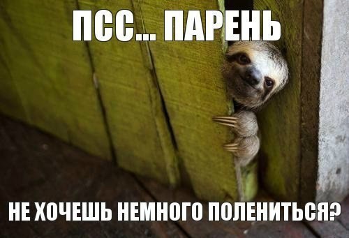 Фото Эрудит центр