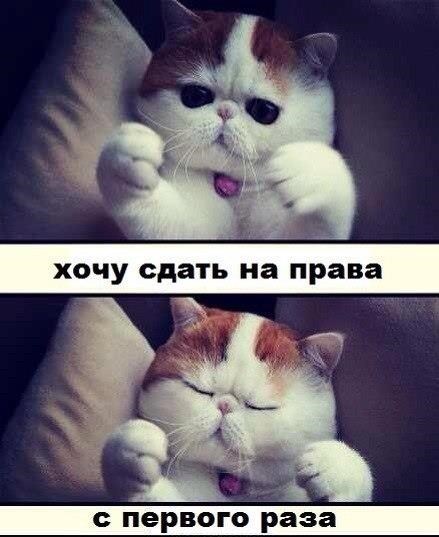 ГрантАвто