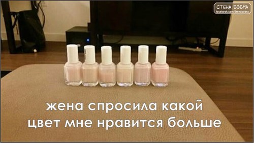 Изображение Хамелеон