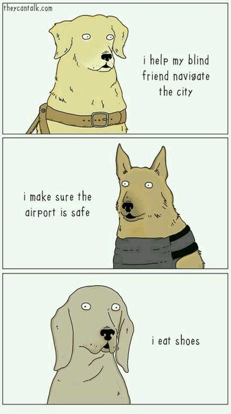 Новость Клевер