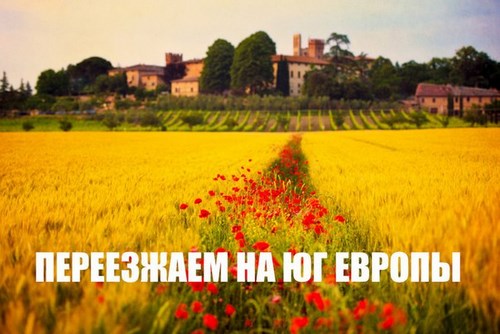 Фото Клевер центр изучения
