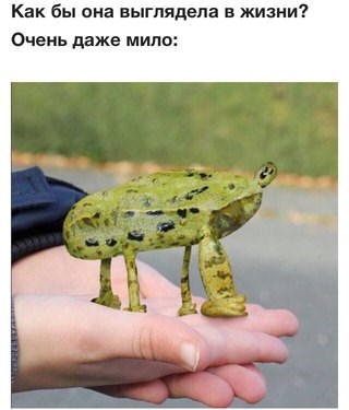 Фото МИКС Ярославль