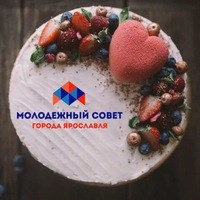 Логотип компании Молодежный Совет г. Ярославля, общественная организация