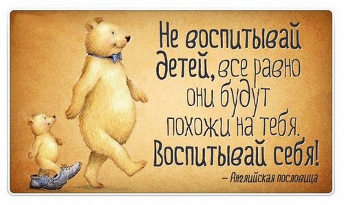 Оранжевый кот