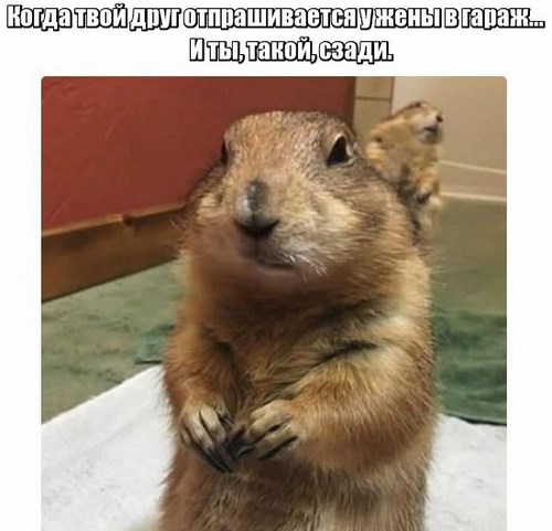 Профессионал