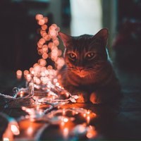 Спектр институт бизнеса