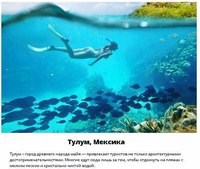 Спектр институт бизнеса