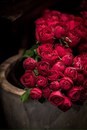 Для Todes танцевальная